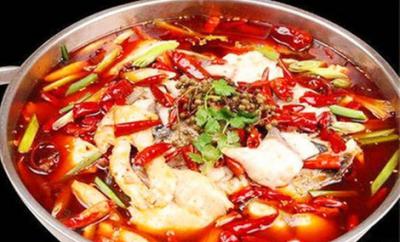 成都火鍋魚技術好色先生TVIOS下载班哪裏好？鍋底勾兌方法