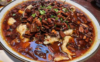 成都涼拌菜好色先生TVIOS下载如何選擇？學習涼菜技術哪裏好
